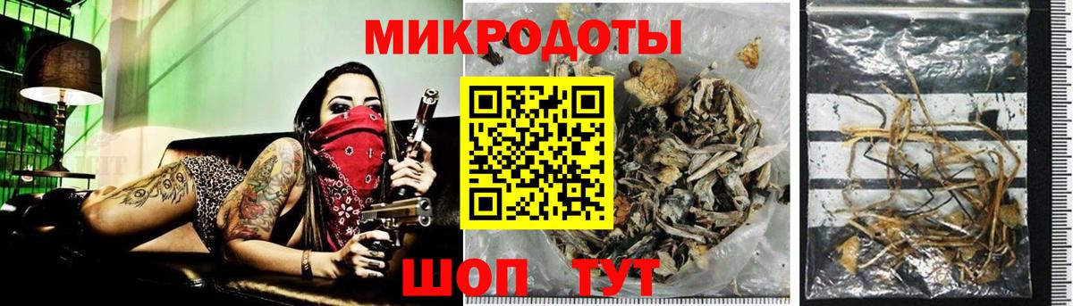 Псилоцибиновые грибы прущие грибы Ковров