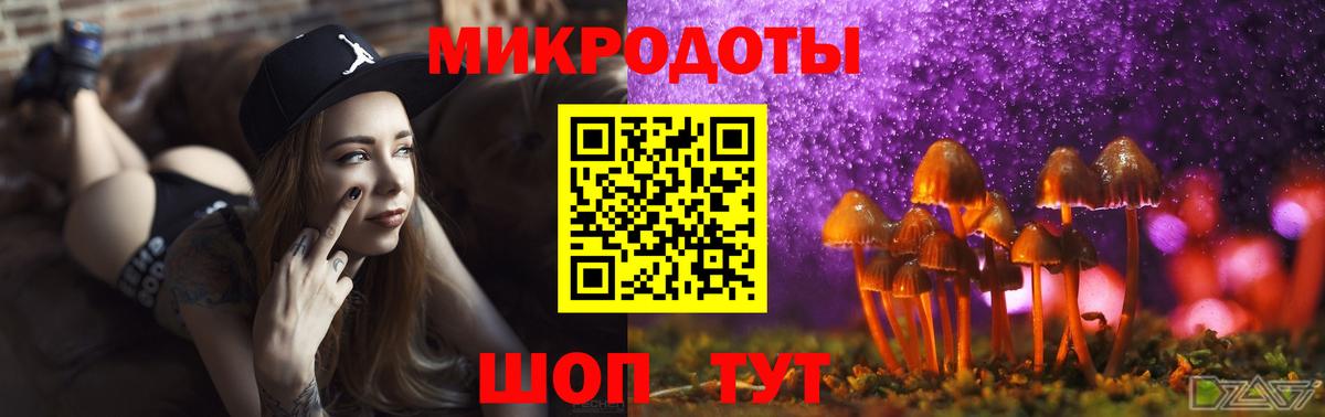 Галлюциногенные грибы прущие грибы  Вход с VPN  Псилоцибиновые грибы Psilocybine cubensis  Ковров 